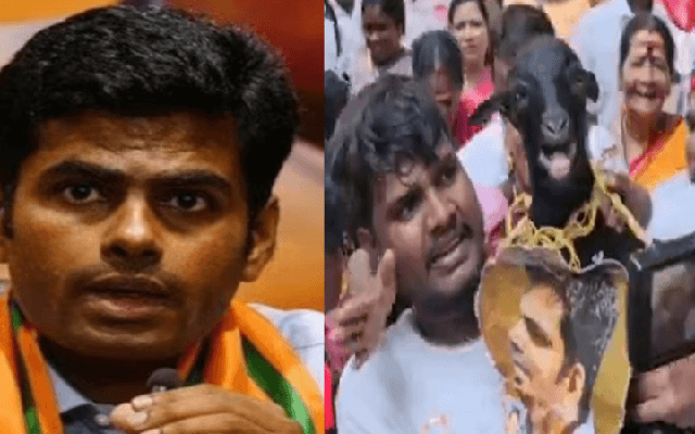 ಅಣ್ಣಾಮಲೈ ಫೋಟೋ ಹಾಕಿ ಮೇಕೆ ತಲೆ ಕತ್ತರಿಸಿ ಸಂಭ್ರಮಿಸಿದ ಡಿಎಂಕೆ ಕಾರ್ಯಕರ್ತರು - News Karnataka