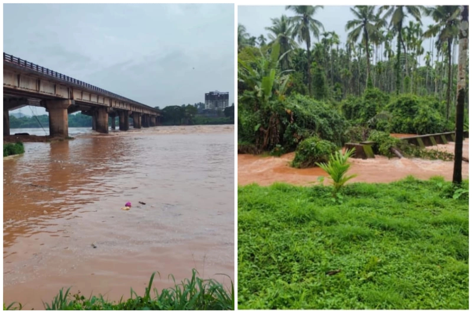 ಭಾರೀ ಮಳೆ;  ನೇತ್ರಾವತಿ ನದಿಯ ನೀರಿನ ಮಟ್ಟ ಏರಿಕೆ! - News Karnataka