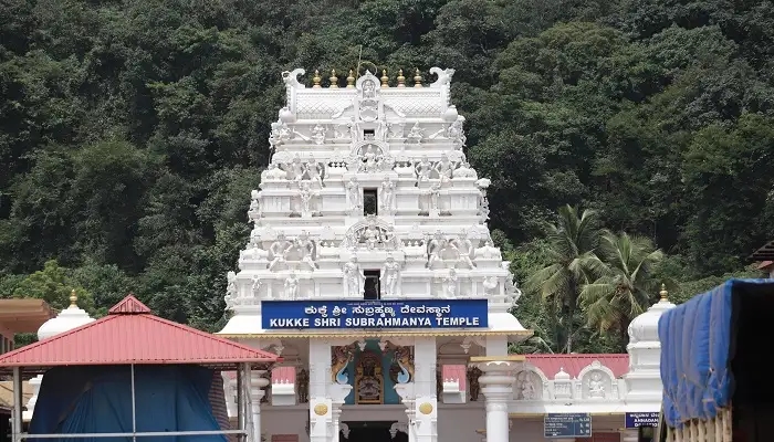 ನ. 14ರಿಂದ ಡಿ. 2ರ ತನಕ ಕುಕ್ಕೆ ಶ್ರೀ ಸುಬ್ರಹ್ಮಣ್ಯ ದೇವಸ್ಥಾನದಲ್ಲಿ ಸರ್ಪಸಂಸ್ಕಾರ ಸೇವೆ ಇಲ್ಲ! - News Karnataka