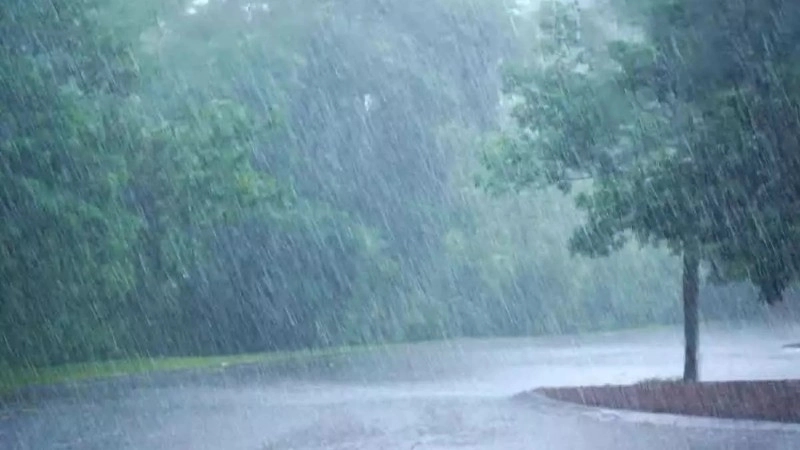 ಇಂದು ಭಾರೀ ಮಳೆಯಾಗುವ ಸಾಧ್ಯತೆ; ಹವಾಮಾನ ಇಲಾಖೆ  ಮುನ್ಸೂಚನೆ - News Karnataka