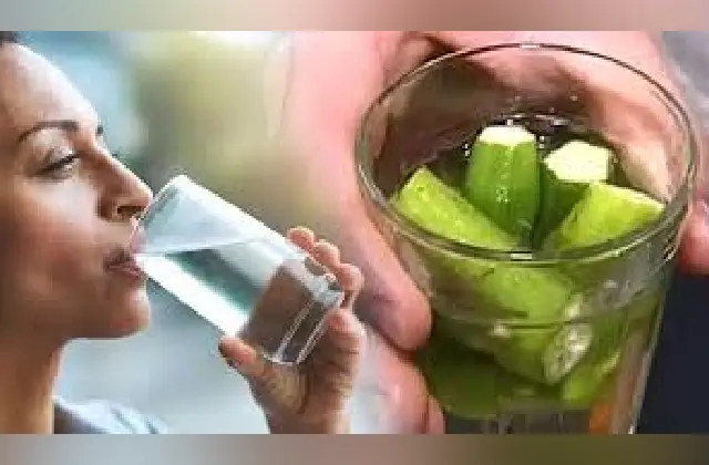 ಬೆಂಡೆಕಾಯಿ ನೀರನ್ನು ಕುಡಿಯುವುದರಿಂದ ಆರೋಗ್ಯಕ್ಕೆ ಏನೆಲ್ಲ ಲಾಭಗಳಿವೆ ಗೊತ್ತಾ? - News Karnataka