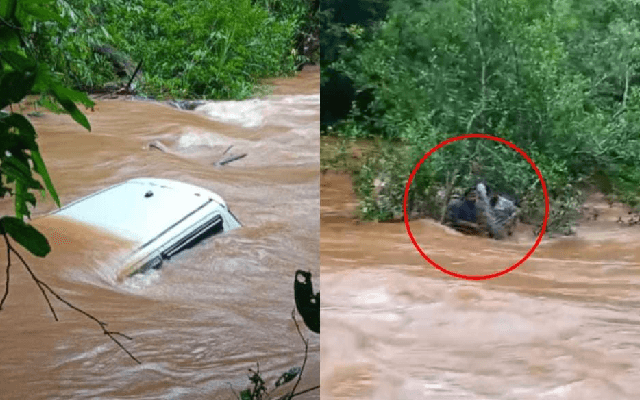 ಭಾರೀ ಮಳೆಗೆ ರಸ್ತೆ ಕಾಣದೇ ಹೊಳೆಗೆ ಬಿದ್ದ ಕಾರು; ಮರದ ಗೆಲ್ಲು ಹಿಡಿದು ಮೇಲೆ ಬಂದ ಯುವಕರು - News Karnataka