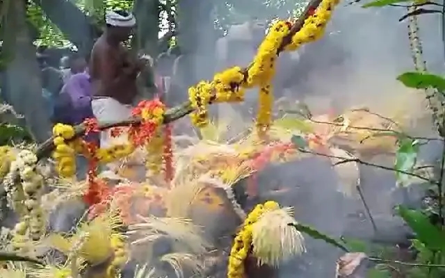 ಗುತ್ತು ನಾಗಬನದಲ್ಲಿ ಮೊಗೇರ ಸಮುದಾಯದವರಿಂದ ವಿಶೇಷ ನಾಗರಾಧನೆ - News Karnataka