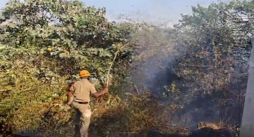 ಮಲೆತಿರಿಕೆ ಬೆಟ್ಟಕ್ಕೆ ಆಕಸ್ಮಿಕ ಬೆಂಕಿ: ತಪ್ಪಿದ ಭಾರೀ ಅನಾಹುತ - News Karnataka