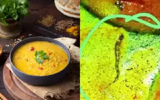 ಆಹಾರದಲ್ಲಿ ಸತ್ತ ಹಾವು, 11 ಕಾಲೇಜು ವಿದ್ಯಾರ್ಥಿಗಳು ಅಸ್ವಸ್ಥ! - News Karnataka