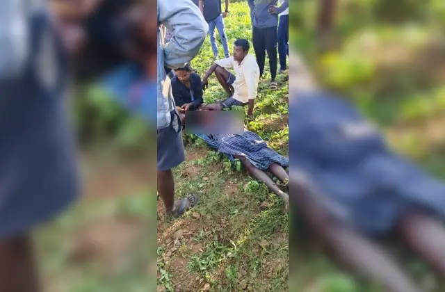 ಹುಲಿ ದಾಳಿಗೆ ಮತ್ತೊಬ್ಬ ರೈತ ಬಲಿ! - News Karnataka