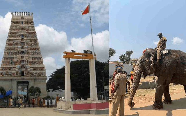 ಯಡಿಯೂರು ಸಿದ್ದಲಿಂಗೇಶ್ವರ ದೇವಾಲಯದ ಗಂಗಾಶ್ರೀ ಆನೆ ಇನ್ನಿಲ್ಲ - News Karnataka