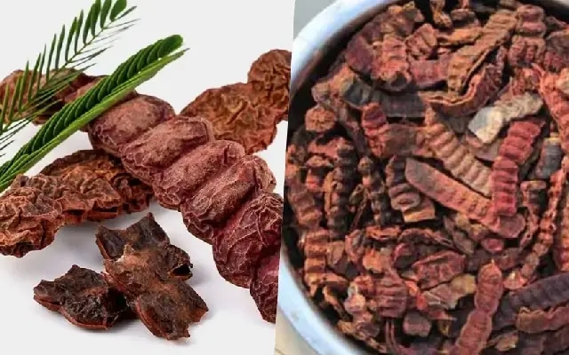 ತಲೆ ಕೂದಲಿಗೆ ಶ್ಯಾಂಪೂ ಒಳ್ಳೆಯದೋ ಸೀಗೆಕಾಯೋ? ಇಲ್ಲಿದೆ ಮಾಹಿತಿ - News Karnataka