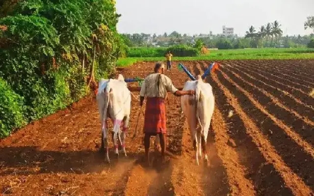 ಬ್ಯಾಂಕ್ ಖಾತೆಗೆ ಆಧಾರ ಕಡ್ಡಾಯ ಇಲ್ಲದಿದ್ದರೆ ಬೆಳೆ ಪರಿಹಾರ ಕಟ್ - News Karnataka