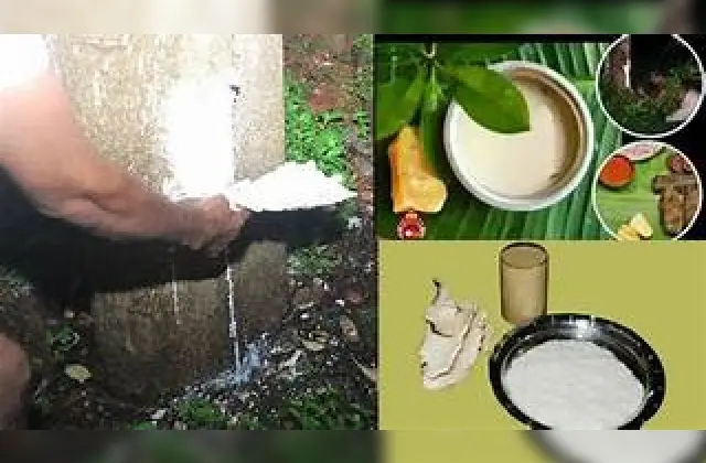 ತುಳುನಾಡಿನ ಜಾನಪದ ಔಷಧ ಆಟಿ ಕಷಾಯದ ಮಹತ್ವ ಇಲ್ಲಿದೆ! - News Karnataka