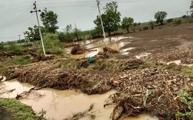 ಧಾರಾಕಾರ ಮಳೆ : ಹಳ್ಳದ ನೀರಿನ ಅವಾಂತರಕ್ಕೆ ಜೋಡೆತ್ತುಗಳು ಬಲಿ - News Karnataka
