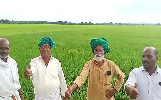 ನದಿ ನೀರಿಗೆ ಅವಲಂಬಿತರಾಗದೆ ಮಳೆ ನೀರಿನಿಂದ ಭತ್ತ ಬೆಳೆದ ರೈತರು - News Karnataka