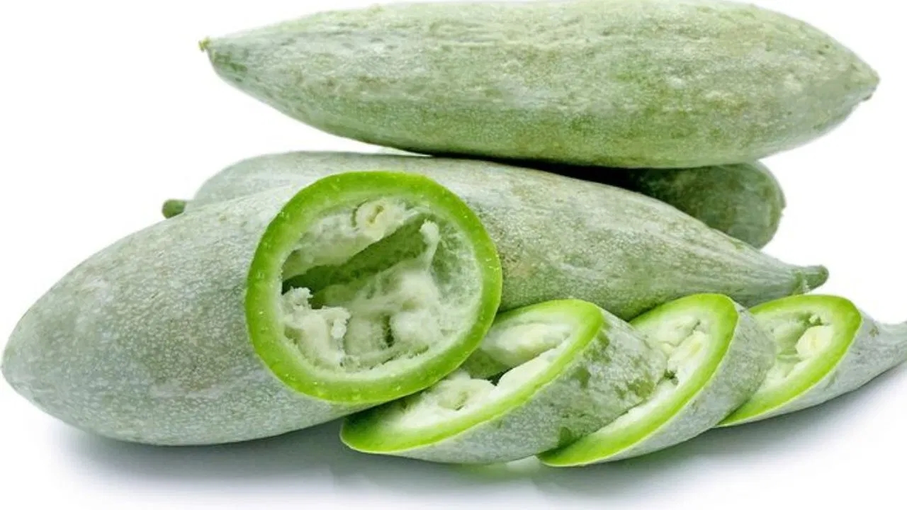 ಪಡವಲಕಾಯಿ ಸೇವನೆ ಕ್ಯಾನ್ಸರ್ ಬರದಂತೆ ತಡೆಯಲು ಸಹಕಾರಿ! - News Karnataka
