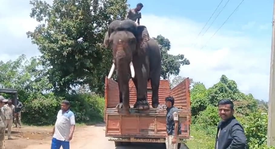 ಆಪರೇಷನ್ ಟೈಗರ್ ಕೂಂಬಿಂಗ್ ಕಾರ್ಯಾಚರಣೆ ಶುರು : ಸಾಕಾನೆ ರೋಹಿತ್ ಬಳಕೆ