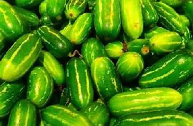 ತೊಂಡೆಕಾಯಿ ಸೇವನೆಯಿಂದ ಆರೋಗ್ಯಕ್ಕೆ ಅನೇಕ ಪ್ರಯೋಜನಗಳಿವೆ?