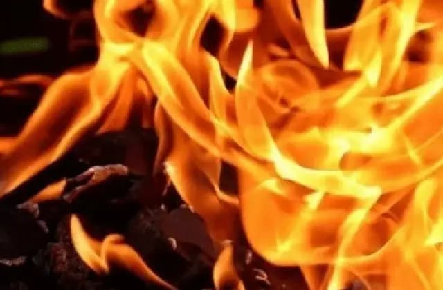 ಶೆಡ್‌ಗೆ ಬೆಂಕಿ; 40 ಕುರಿ ಸಜೀವ ದಹನ!
