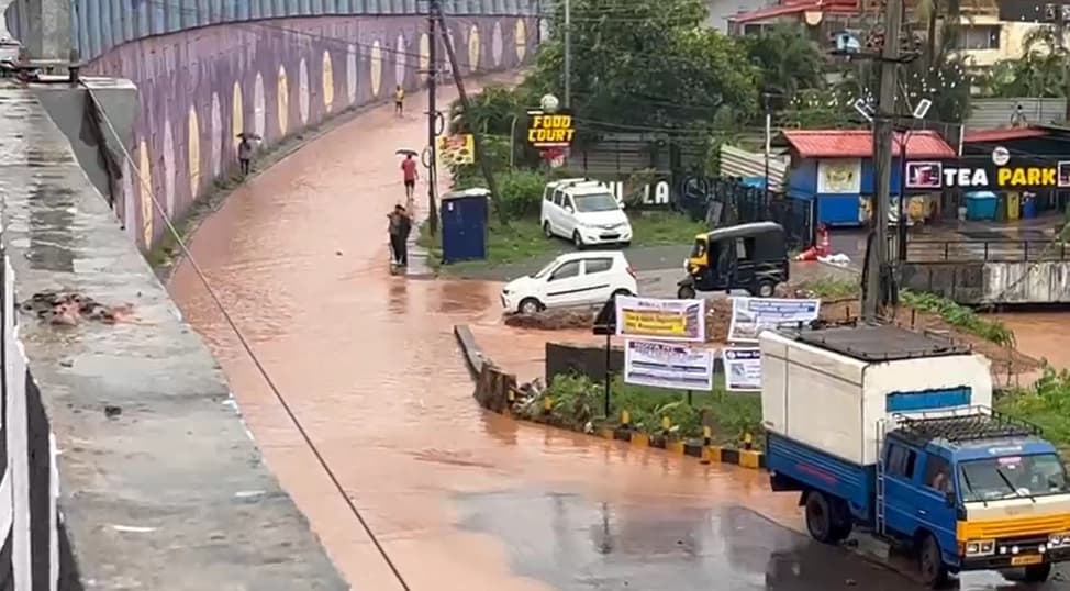 ಲಿವರ್​ ಸಮಸ್ಯೆಗೆ ಕರಿಬೇವು ಅತ್ಯಂತ ಉಪಕಾರಿ ಏಕೆ ಗೊತ್ತಾ?