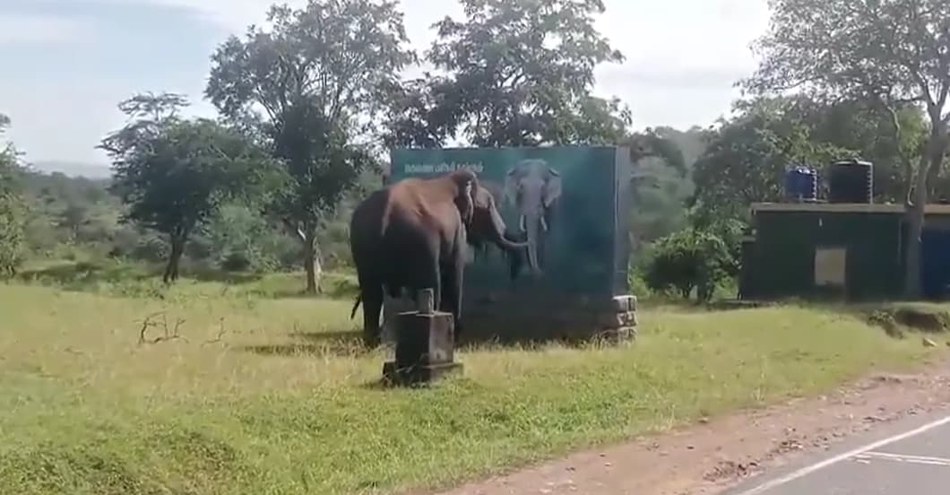 ಕೆರೆಯಲ್ಲಿ ಈಜಲು ತೆರಳಿದ್ದ ನಾಲ್ವರು ಮಕ್ಕಳು ನೀರುಪಾಲು