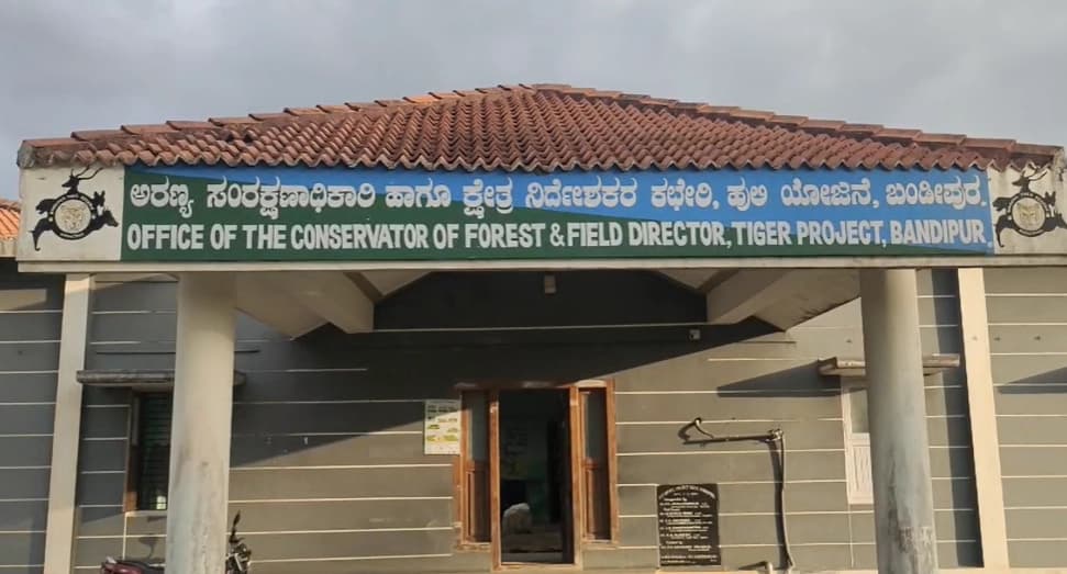 ಗುಂಡ್ಲುಪೇಟೆ : ಹಾಡಹಗಲೇ ಮಹಿಳೆ ಮೇಲೆ ಹುಲಿ ದಾಳಿ : ದೇಶಿಪುರ ಕಾಲೋನಿ ಮಹಿಳೆ ಬಲಿ