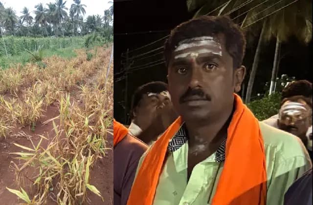 ಸಾಲಾ ಬಾಧೆ;  ಶುಂಠಿ ಬೆಳೆ ಬೆಳೆದು ಜೀವವನ್ನೇ ಕಳೆದುಕೊಂಡ ರೈತ