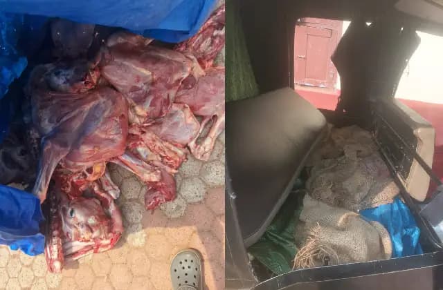 ಮಂಗಳೂರು : ಆಟೋದಲ್ಲಿ ಅಕ್ರಮ ದನದ ಮಾಂಸ ಸಾಗಾಟ
