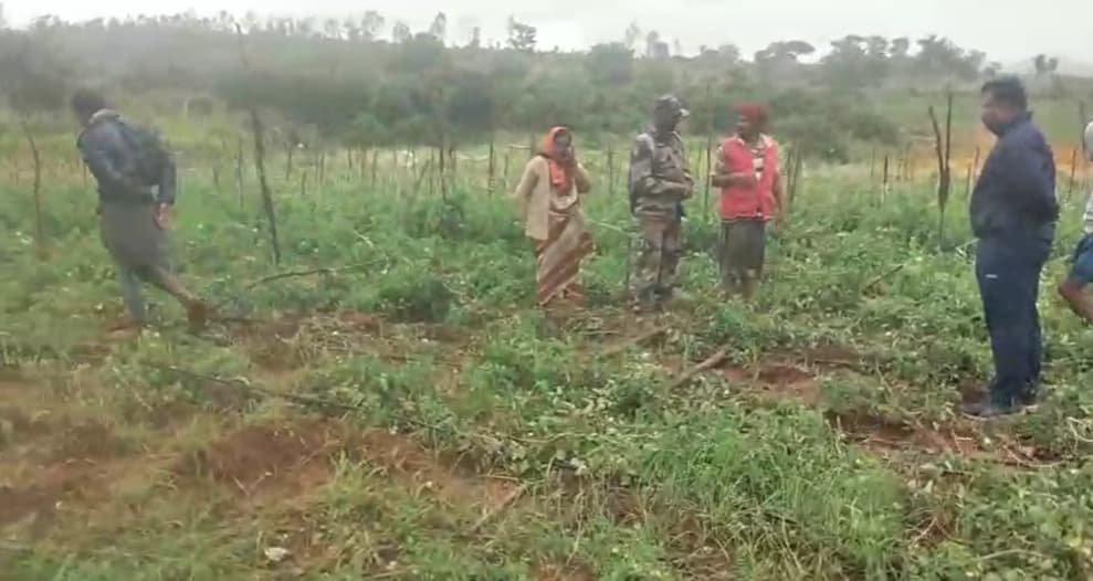 ಓಂಕಾರ್ ಅರಣ್ಯ ವಲಯದಲ್ಲಿ ಮುಂದುವರಿದ ಕಾಡಾನೆ ಉಪಟಳ