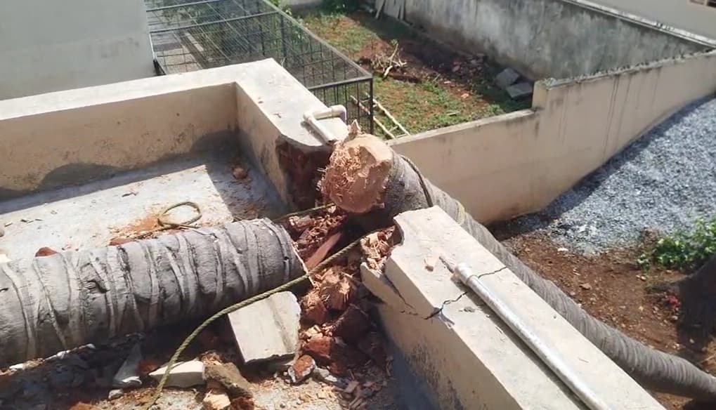 ಬೀದರ್‌: ಹಿಂದೂ ವಿದ್ಯಾರ್ಥಿಗಳ ಮೇಲಿನ ಹಲ್ಲೆ ಖಂಡಿಸಿ ಬಿಜೆಪಿ ಪ್ರತಿಭಟನೆ