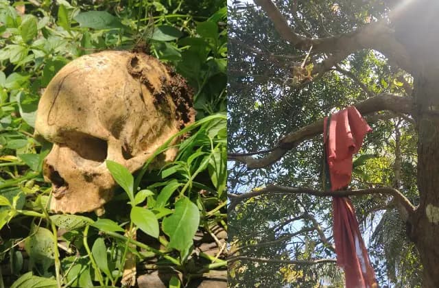 ದೇವಿಪುರದ ಅಕ್ಷಯ ಫಾರ್ಮ್ ಒಳಗಡೆ ಮಾನವನ ಅಸ್ಥಿ ತಲೆಬುರುಡೆ ಮತ್ತು ಅವಶೇಷಗಳು ಪತ್ತೆ