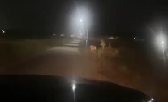 ಮೈಸೂರು ವಿಮಾನ ನಿಲ್ದಾಣದಲ್ಲಿ ಕಾಣಿಸಿಕೊಂಡ ಹುಲಿ!