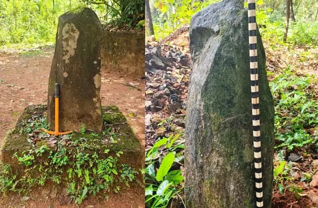 ಬೃಹತ್ ಶಿಲಾಯುಗದ ನಿಲ್ಸ್ಕಲ್‌ಗಳು ಪತ್ತೆ