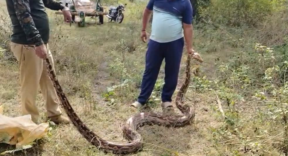ಮಧುಮೇಹ ನಿಯಂತ್ರಣಕ್ಕೆ ಈರುಳ್ಳಿ ಸಹಕಾರಿ!