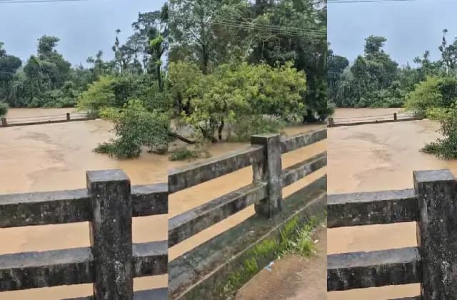 ಕೊಡಗು: ಧಾರಾಕಾರ ಮಳೆ, ಮೈದುಂಬಿ ಹರಿಯುತ್ತಿರುವ ನದಿಗಳು