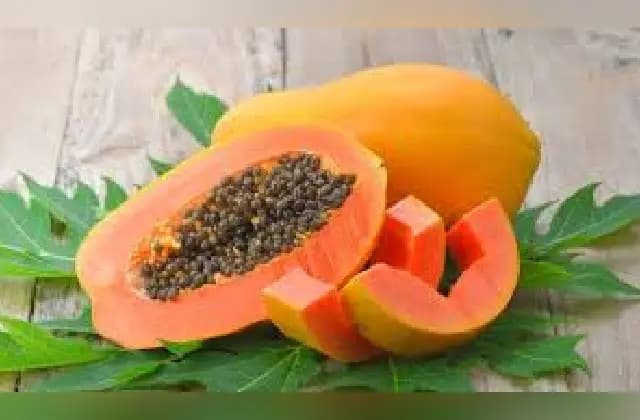 ಪಪ್ಪಾಯಿ ಬೀಜಗಳ ಪ್ರಯೋಜನಗಳೇನು ಗೊತ್ತಾ?