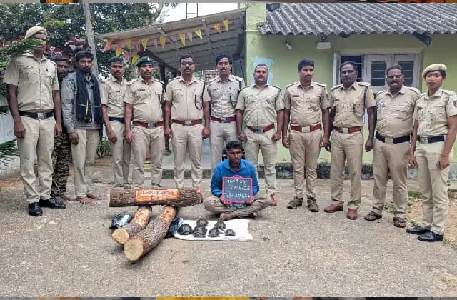 ಅಕ್ರಮವಾಗಿ ಶ್ರೀಗಂಧ, ಆಮೆಗಳನ್ನು ಸಾಗಿಸುತ್ತಿದ್ದವನ ಬಂಧನ!