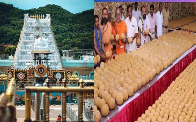 ವಿಶ್ವ ಪ್ರಸಿದ್ಧ ತಿರುಪತಿ ಲಡ್ಡು ಪ್ರಸಾದಕ್ಕೆ ಇಂದಿಗೆ 309 ವರ್ಷಗಳ ಸಂಭ್ರಮ