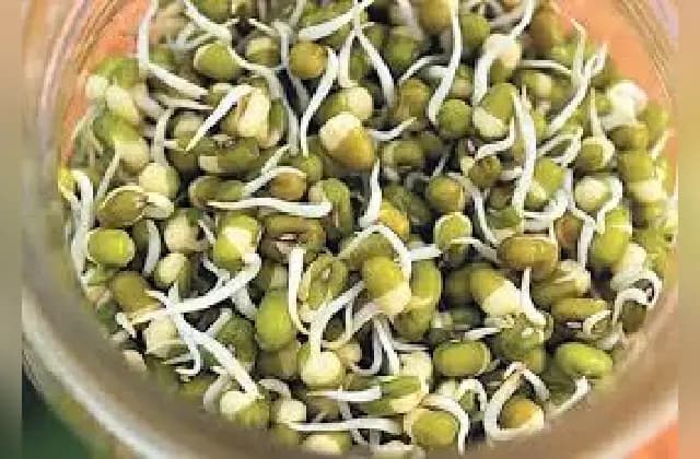 ಮೊಳಕೆ ಕಟ್ಟಿದ ಹೆಸರು ಕಾಳು ಸೇವನೆ ಮಾಡಿದರೆ ನಿಮಗೆ ಸಿಗಲಿದೆ ಅತ್ಯಧಿಕ ಲಾಭಗಳು
