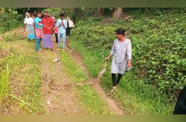 ಪುತ್ತೂರು: ಬೃಹತ್ ಗಾತ್ರದ ಹೆಬ್ಬಾವು ಹಿಡಿದ ಮಹಿಳೆ!