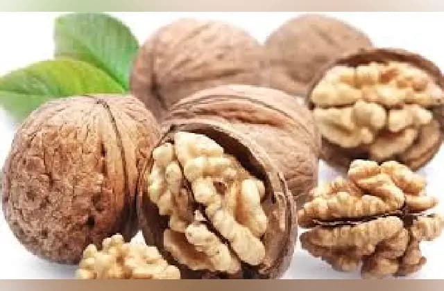 ಮೆದುಳಿನ ಶಕ್ತಿ ವೃದ್ಧಿಗೆ ಖಾಲಿ ಹೊಟ್ಟೆಗೆ ವಾಲ್ನಟ್ ಸೇವನೆ ಸಹಕಾರಿ!