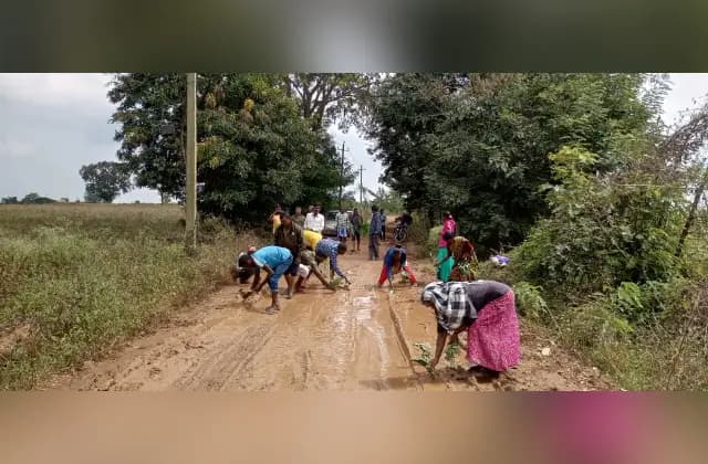 ಮೈಸೂರು: ಹದಗೆಟ್ಟ ರಸ್ತೆಯಲ್ಲಿ ನಾಟಿ ಮಾಡಿ ಆಕ್ರೋಶ ವ್ಯಕ್ತಪಡಿಸಿದ ಆದಿವಾಸಿಗಳು