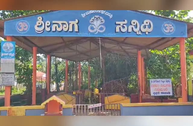 ಪುತ್ತೂರಿನಲ್ಲಿ ಮುಸ್ಲಿಂ ಯುವಕನಿಂದ ನಾಗನ ಕಟ್ಟೆಗೆ ಹಾನಿ