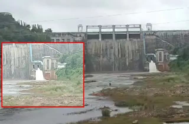 ಭದ್ರಾ ಡ್ಯಾಂ ಸೋರಿಕೆ : ಉನ್ನತ ಮಟ್ಟದ ತನಿಖೆಗೆ ಸ್ಥಳೀಯರಿಂದ ಆಗ್ರಹ