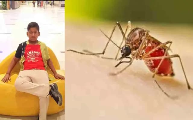 ರಾಜ್ಯದಲ್ಲಿ ಡೆಂಘೀ ಹೆಚ್ಚಳ : ಸಿಲಿಕಾನ್‌ ಸಿಟಿಯಲ್ಲಿ ಡೆಂಗ್ಯು ಜ್ವರಕ್ಕೆ ಬಾಲಕ ಬಲಿ