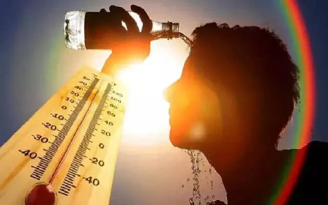 ಉಷ್ಣದ ಅಲೆ: 53.3 ಡಿ.ಸೆ. ತಾಪಮಾನಕ್ಕೆ ಕ್ಯಾಲಿಫೋರ್ನಿಯಾ ತತ್ತರ