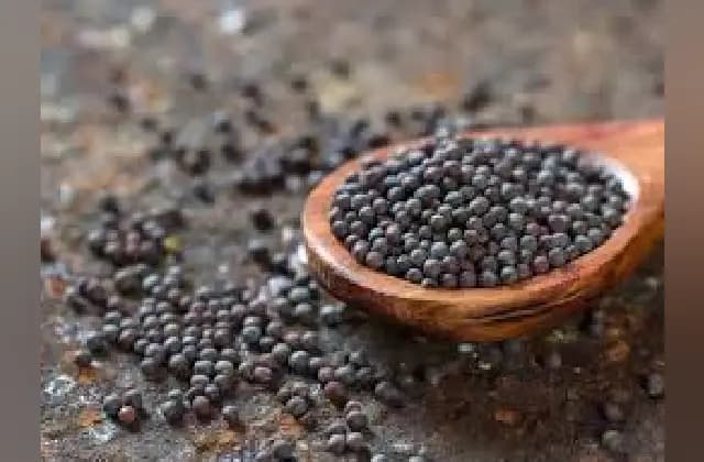 ಕೀಲು ನೋವಿದ್ದರೆ ಸಾಸಿವೆಯನ್ನು ಈ ರೀತಿ ಬಳಸುವುದು ಸೂಕ್ತ!