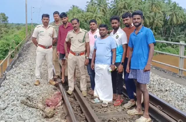 ಕುಂದಾಪುರ: ರೈಲು ಡಿಕ್ಕಿ ಹೊಡೆದು ಚಿರತೆ ಮೃತ್ಯು