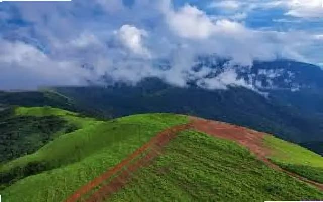 ಪಟ್ಲ ಬೆಟ್ಟಕ್ಕೆ ಪ್ರವಾಸಿಗರ ಪ್ರವೇಶ ನಿಷೇಧ : ಅರಣ್ಯ ಇಲಾಖೆ ಆದೇಶ