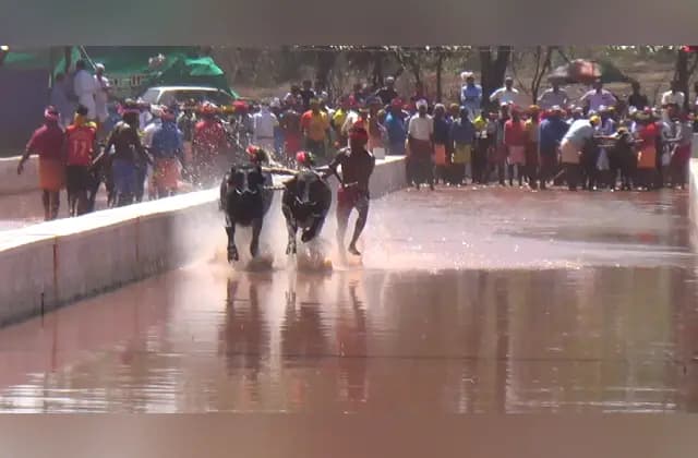 ಮಂಗಳೂರು: ಪಿಲಿಕುಳ ಕಂಬಳ ಮುಂದೂಡುವ ಸಾಧ್ಯತೆ!