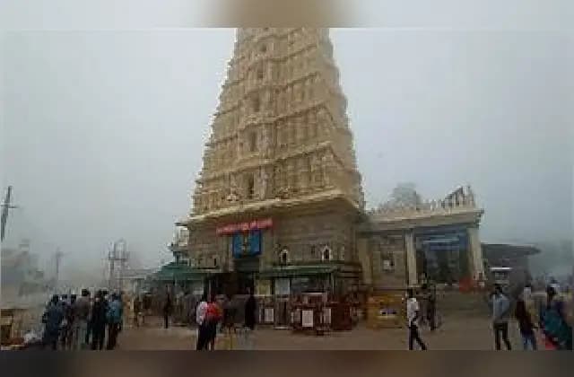 ಚಾಮುಂಡೇಶ್ವರಿಗೆ ಭಕ್ತರು ಕೊಡುವ ಹರಕೆ ಸೀರೆ ಕಾಳಸಂತೆಯಲ್ಲಿ ಮಾರಾಟ!