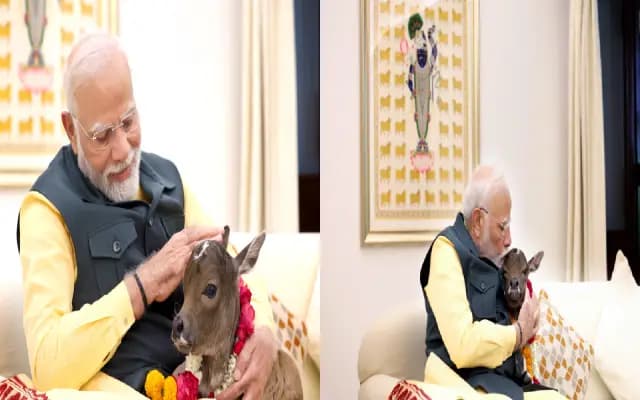 ಮೋದಿ ಕುಟುಂಬಕ್ಕೆ ಹೊಸ ಸದಸ್ಯೆ : ದೀಪಜ್ಯೋತಿಗೆ ಮುತ್ತಿಡುತ್ತಿರುವ ನಮೋ