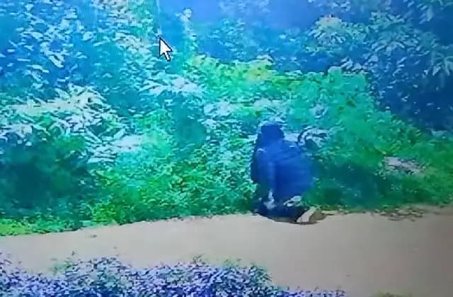 ಪೆರಿಯಡ್ಕದಲ್ಲಿ ಕಳ್ಳತನಕ್ಕೆ ಯತ್ನ: ಸಿಸಿ ಕ್ಯಾಮರಾದಲ್ಲಿ ಹೊಂಚುಹಾಕುವ ದೃಶ್ಯ ಸೆರೆ!